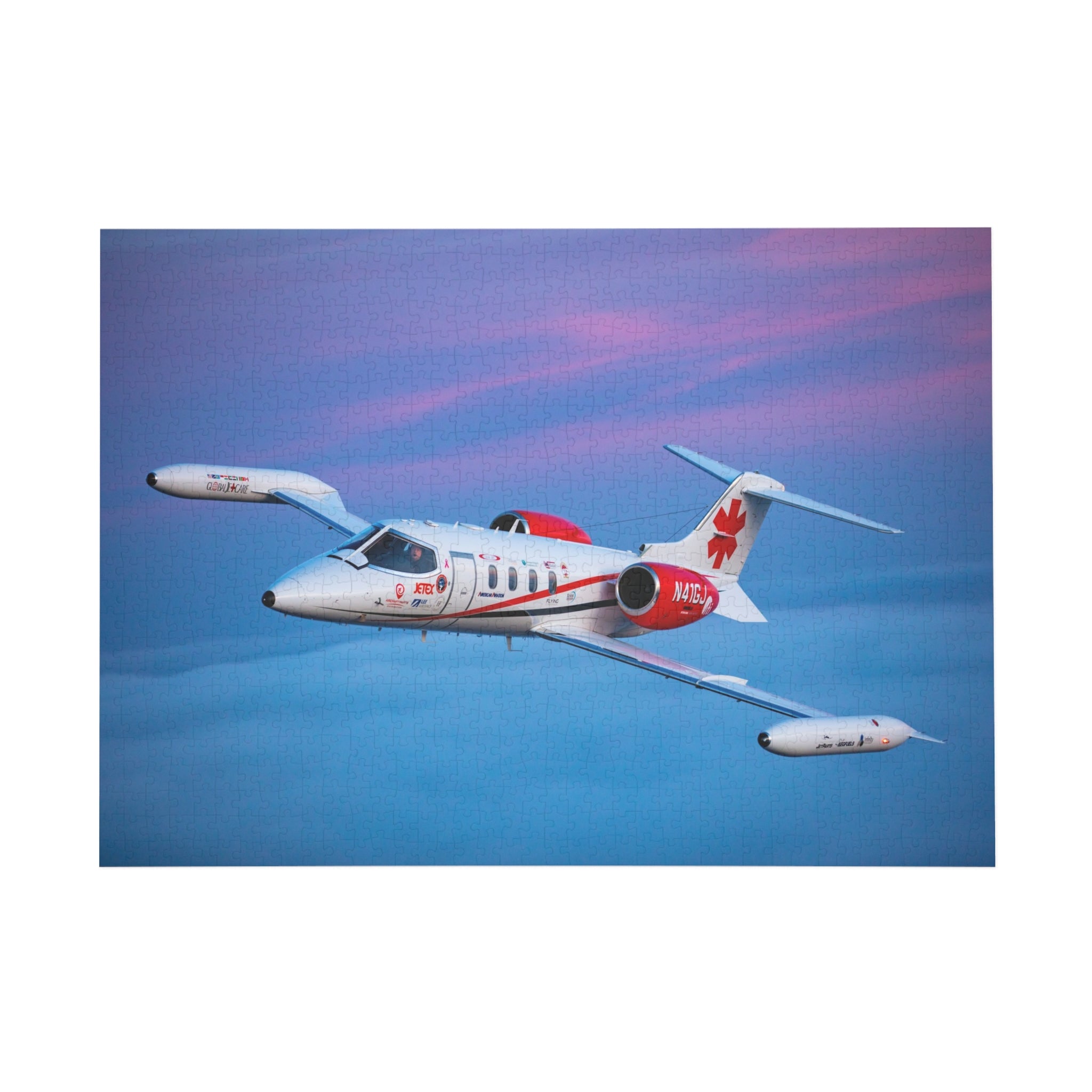 Global Jetcare N41GJ Jigsaw