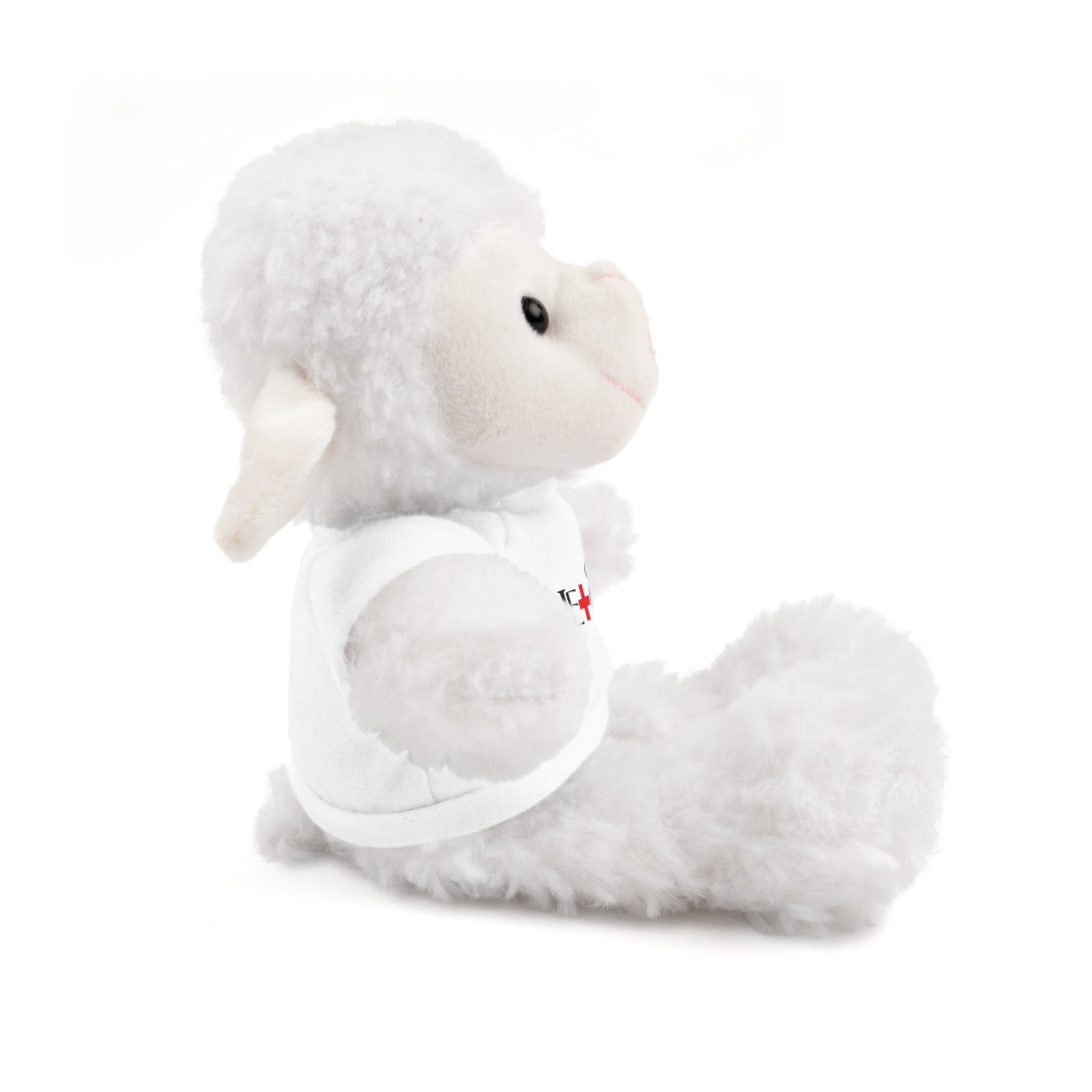 Global Jetcare Care Bear Plush with “I Give Care” Tee